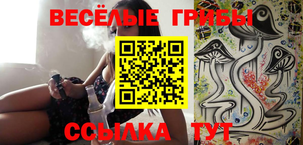 Галлюциногенные грибы MAGIC MUSHROOMS  Вход с VPN  что такое   Нововоронеж 