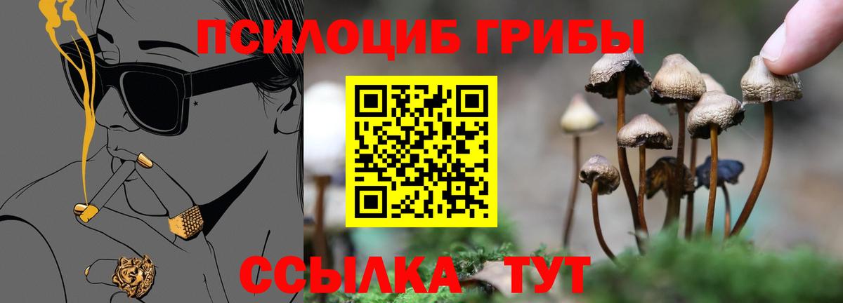 Галлюциногенные грибы GOLDEN TEACHER Нововоронеж